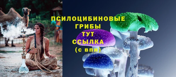 стаф Дмитриев