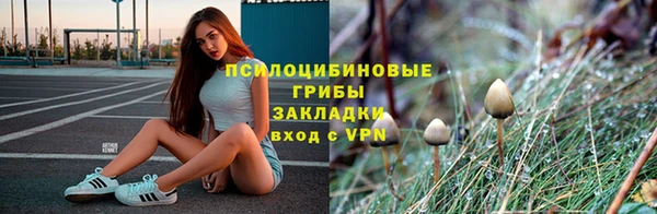 мет Арсеньев