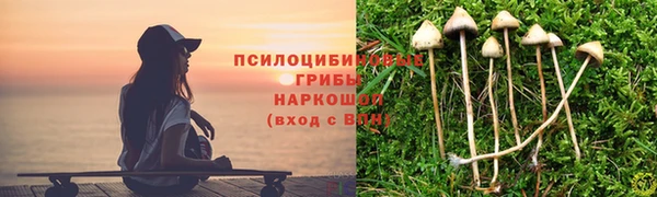 сатива Балабаново
