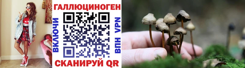 Галлюциногенные грибы мухоморы  Славгород 