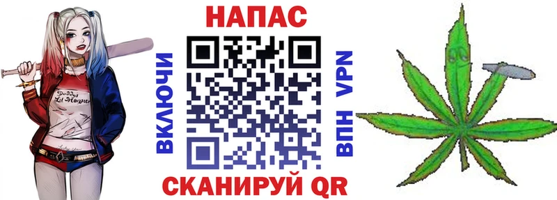 закладка  Славгород  Марихуана конопля 
